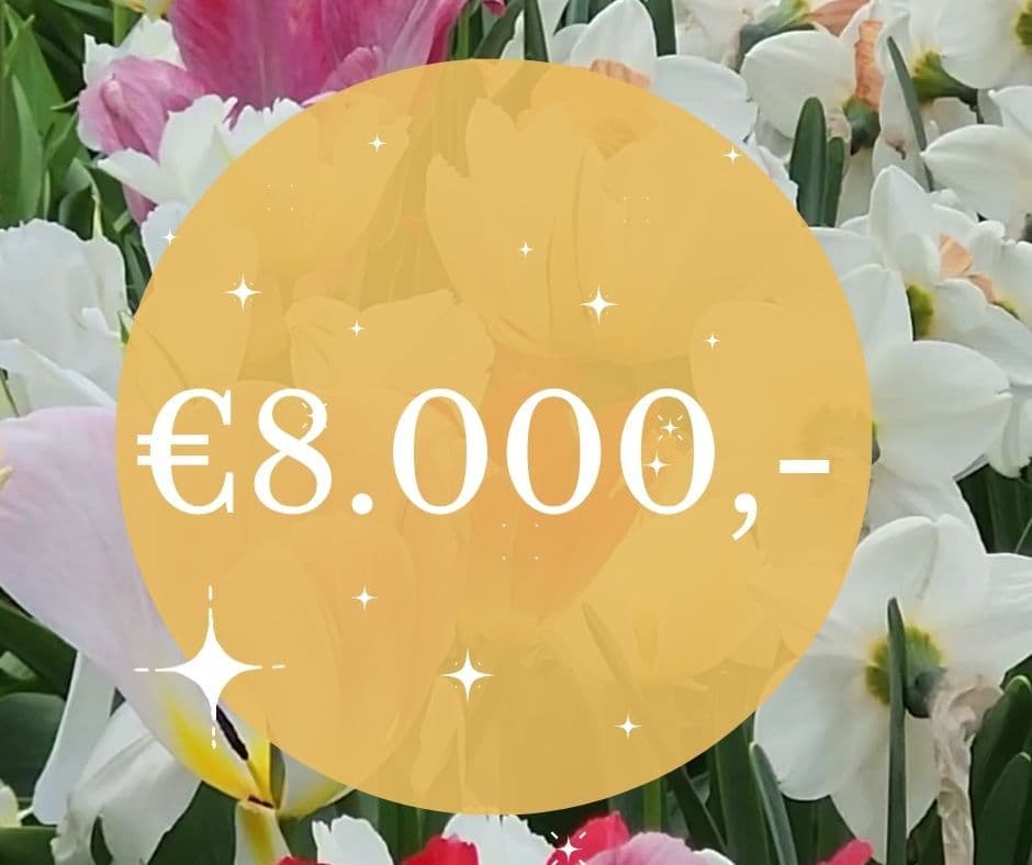 Pluk voor Kindergeluk een groot succes!