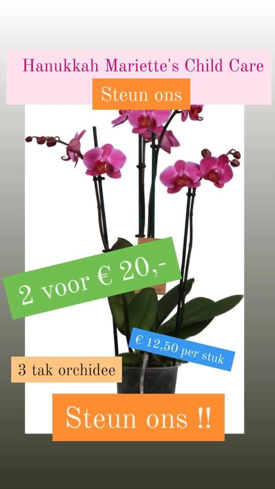 Orchideeën-actie voor Lucas