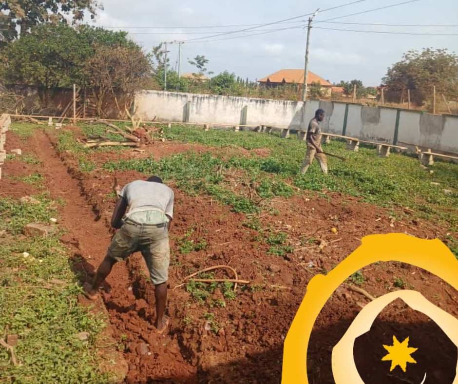 Update bouw dagbestedingsruimte