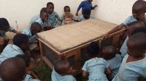 Konijnen en groentetuin voor Hanukkah