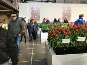 Pluk voor Kindergeluk brengt 10.500 euro bijeen voor Junior High School