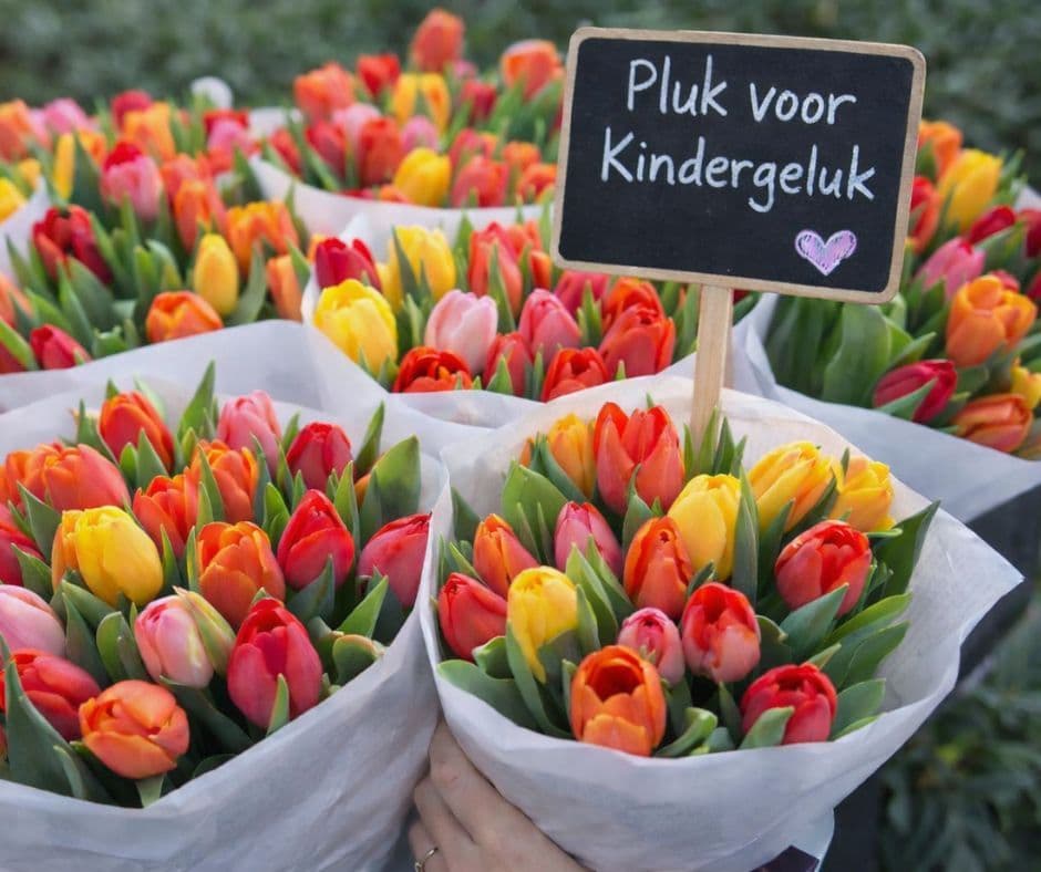 In de krant met Pluk voor Kindergeluk